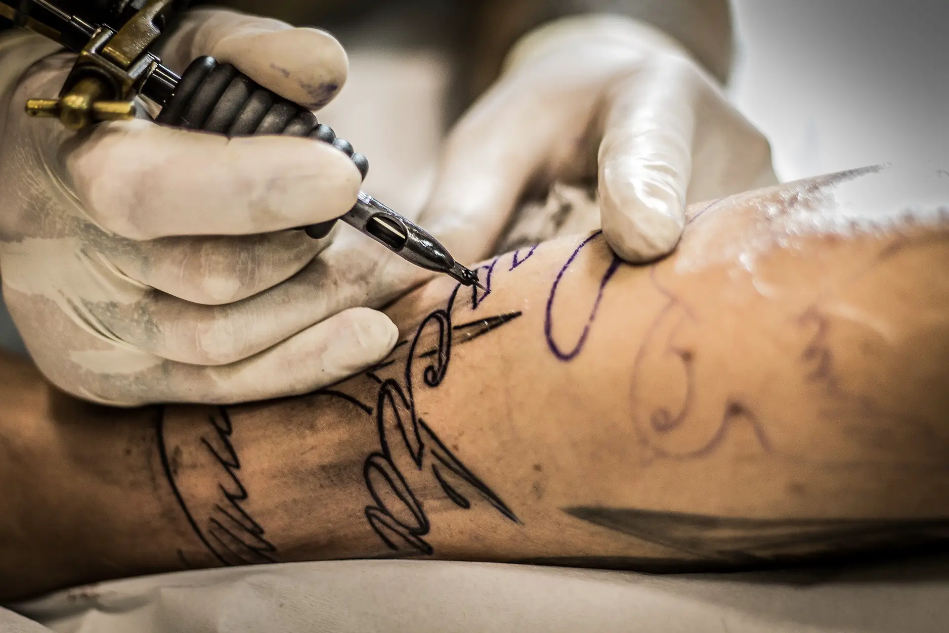 Best Tattoo Ointments: Top 7 Reviewed - Tattify