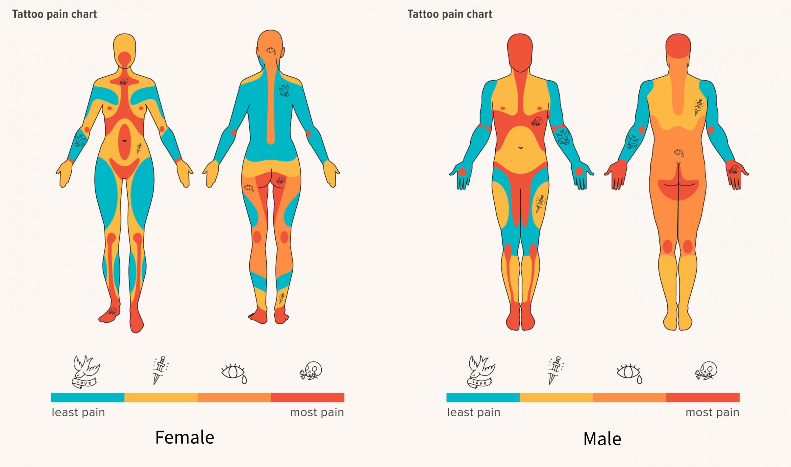 Your Tattoo Pain Guide Least To Most Painful Placements Ranked