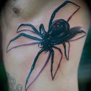 spider tattoo on ribs